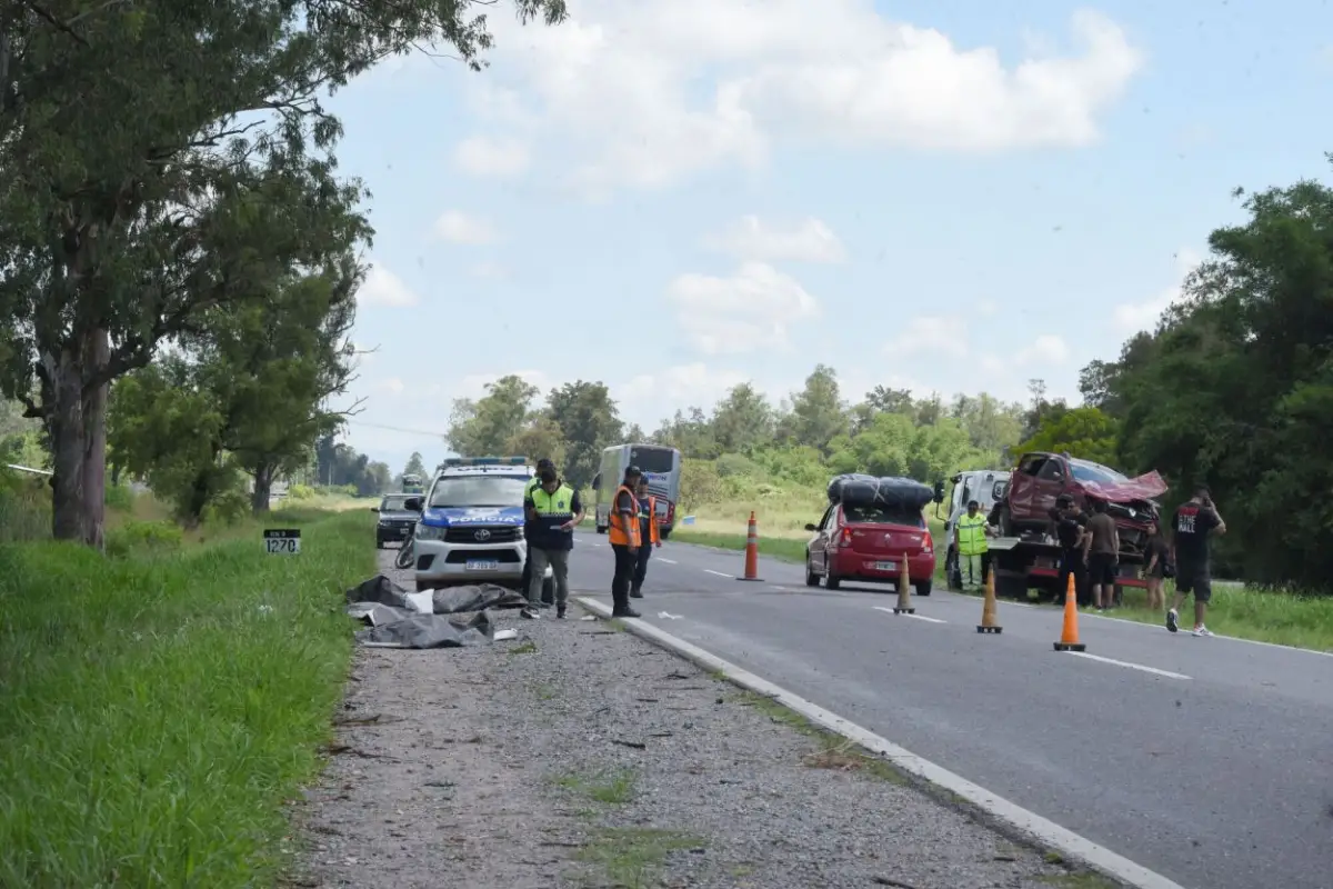 RUTA 9. El vehículo perdió el control y chocó contra árboles de eucalipto