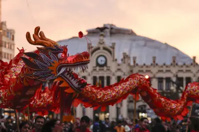 Llega el Año Nuevo Chino: cuáles serán los animales del horóscopo más favorecidos