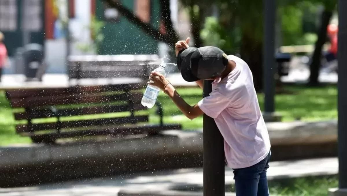 La importancia de tomar agua en épocas de calor. ARCHIVO LA GACETA