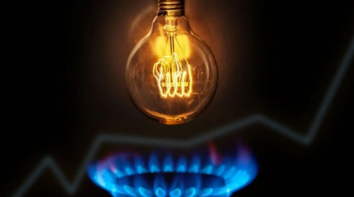 LUZ Y GAS. El Gobierno promueve el pago pleno del servicio.