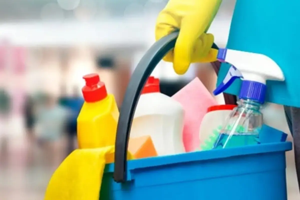 Empleadas domésticas y bono extra: montos actualizados y beneficiarias en enero 2026