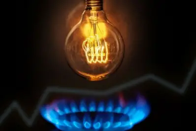 Cómo funciona el sitio para gestionar subsidios energéticos