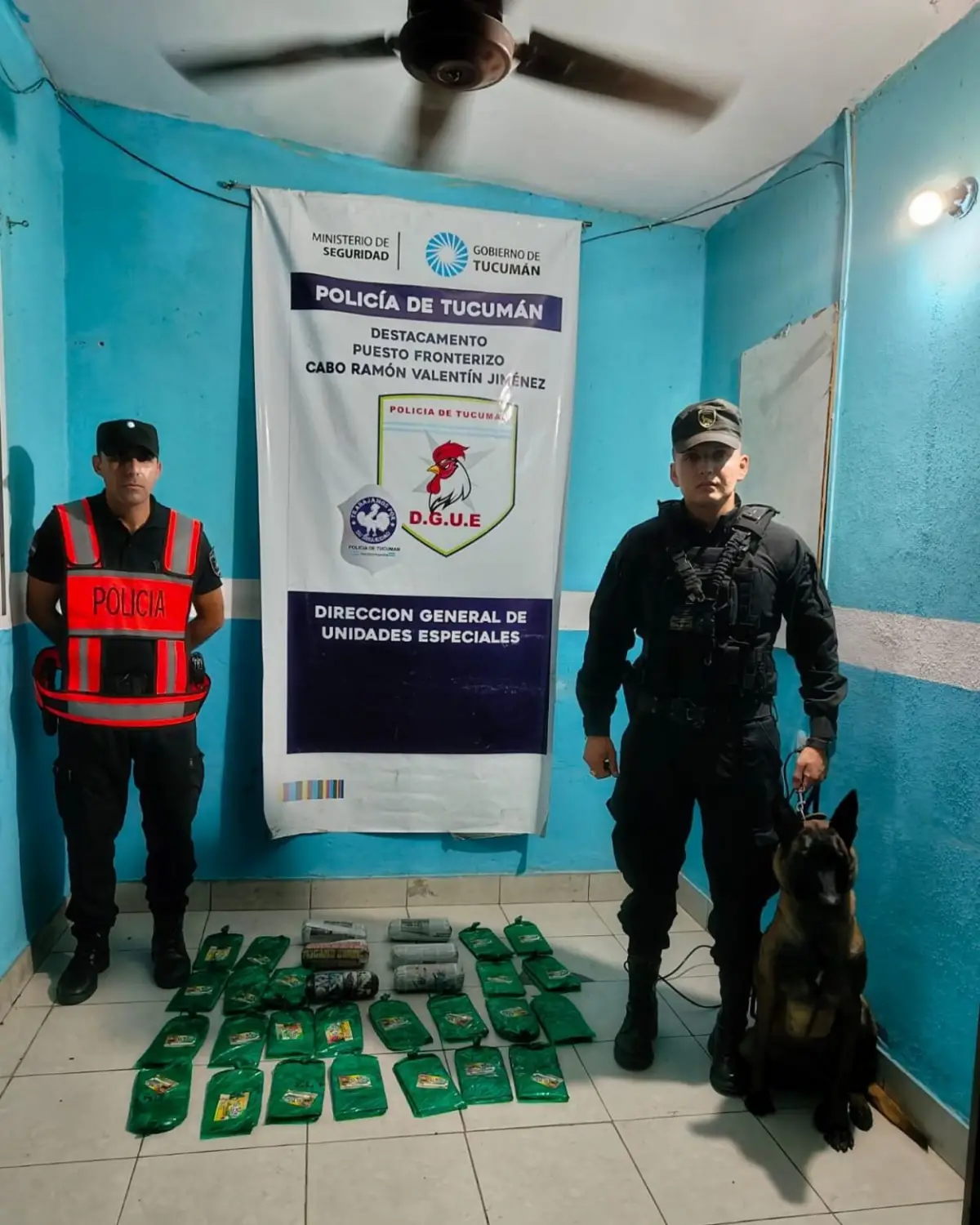 SIMILITUD. Los paquetes de coca vienen con sellos, como ocurre con los ladrillos de cocaína.