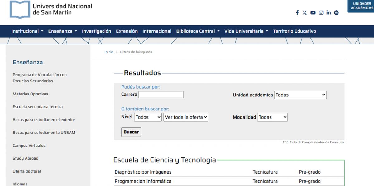 UNSAM. La universidad cuenta con un buscador online que permite explorar su oferta académica por carrera, nivel y modalidad. / CAPTURA DE PANTALLA