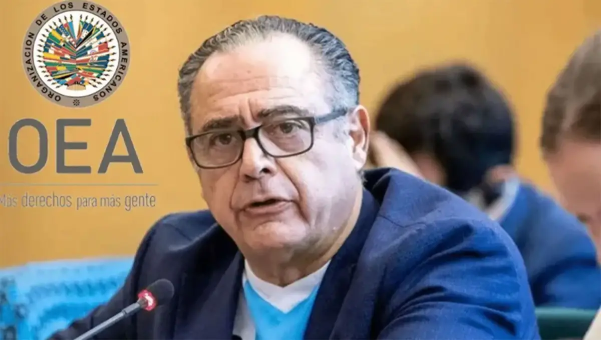 El embajador argentino ante la Organización de Estados Americanos (OEA), Carlos Cherniak.