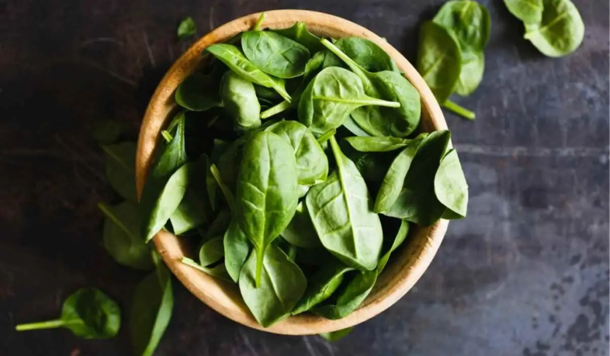 Un error muy común en la cocina: por qué no hay que cortar la albahaca con cuchillo