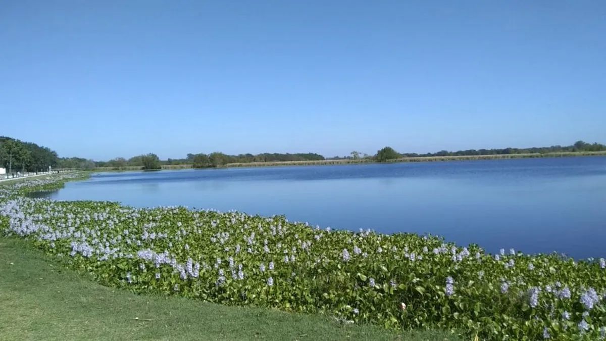 SAN VICENTE. Queda a sólo 50 km de Buenos Aires y es ideal para pasar un día en una hermosa laguna.