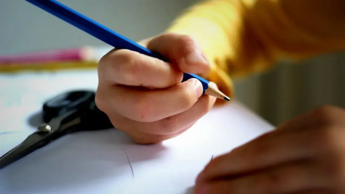 ANSES: qué personas no cobran la Ayuda Escolar de $85.000