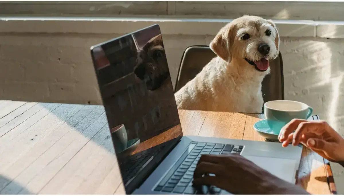 ESTUDIAR CON UN PERRO. Un estudio británico revela beneficios emocionales, sociales y académicos poco conocidos. / FREEPIK