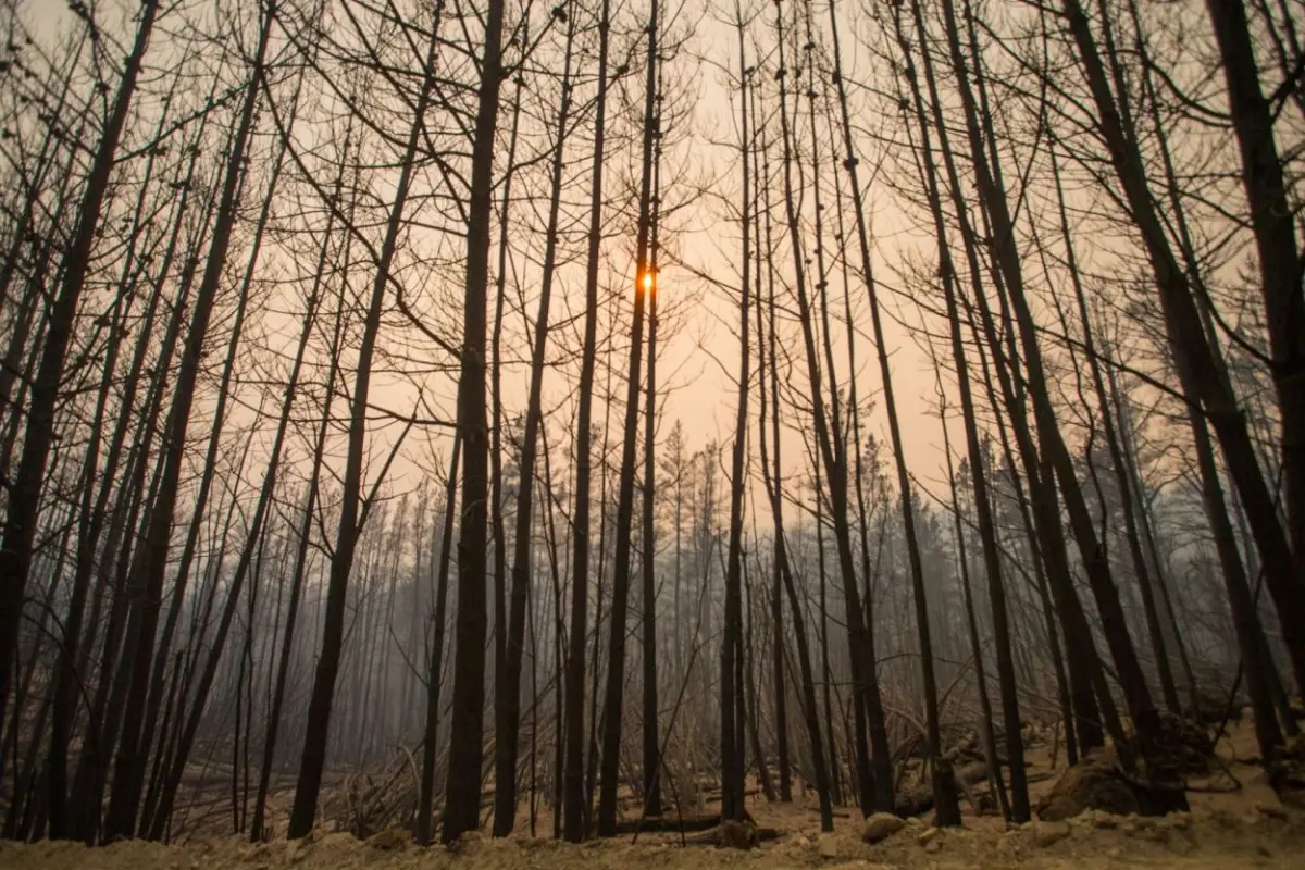 El fuego no tiene control en la Patagonia argentina