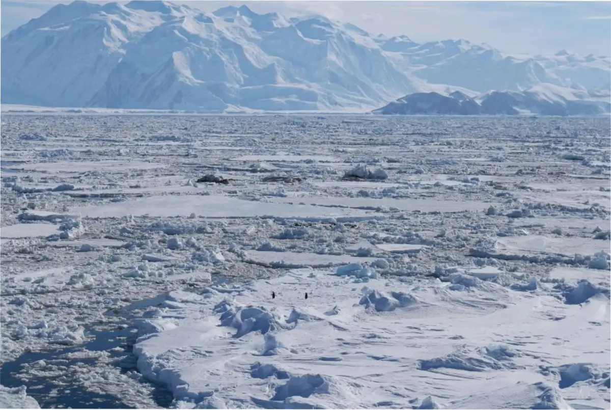Nuevos estudios descubren que el deshielo en la Antártida Occidental no solo impacta sobre el nivel del mar, sino que genera cambios geológicos importantes sobre el contiente. Imagen: CC/Meteored