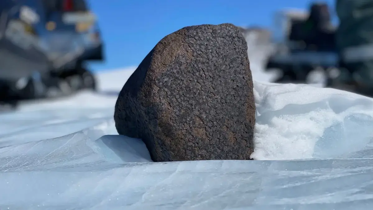 Uno de los meteoritos más grandes que se encontraron en la Antártida pesa 7.7 kilos.