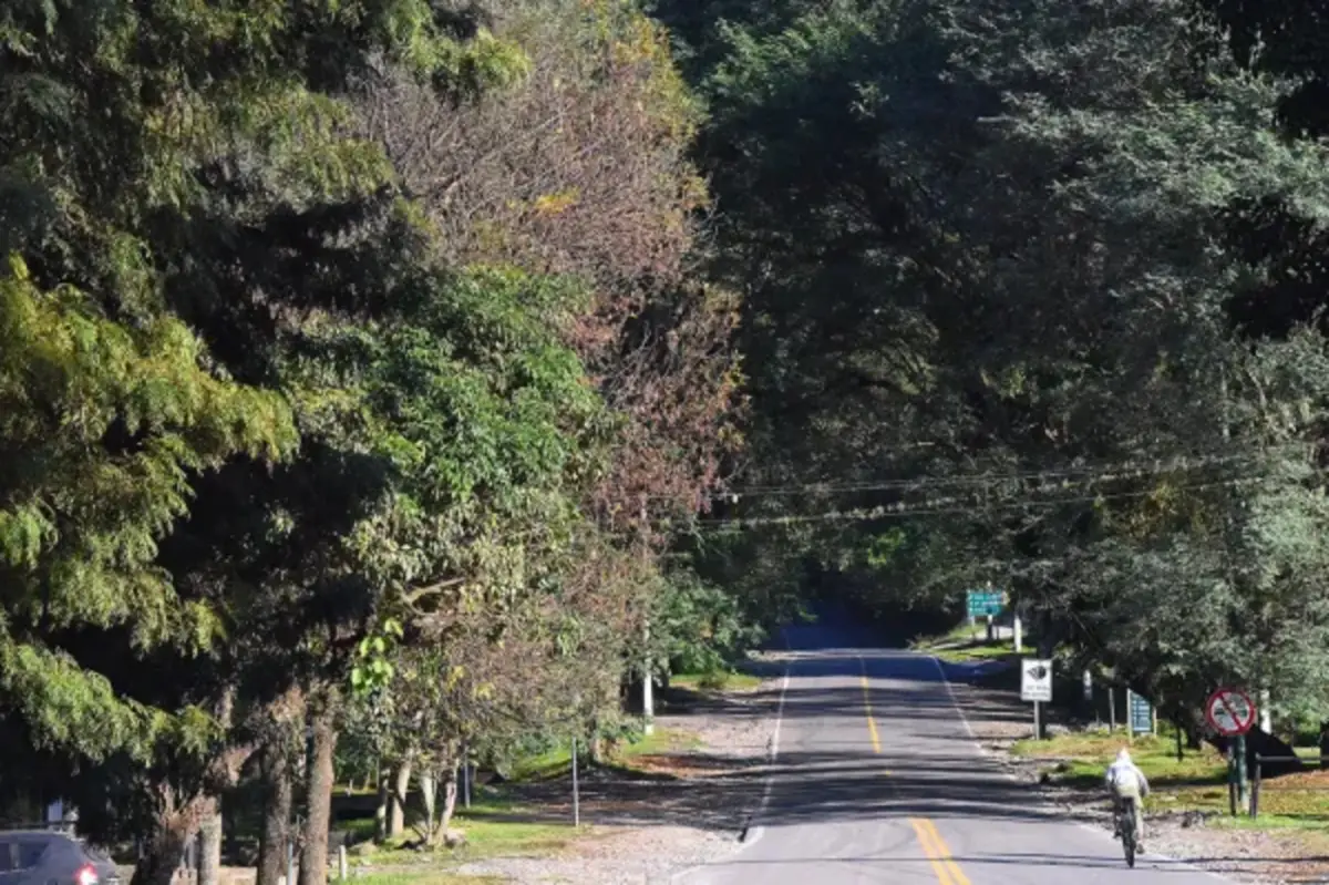 Un sábado para descansar de la lluvia y del calor: qué dice el pronóstico para Tucumán