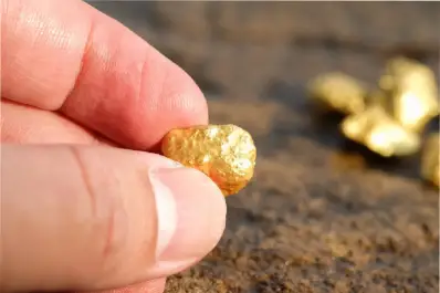 Tesoro escondido: en este electrodoméstico popular podrías encontrar oro de 22 quilates