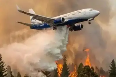 Emergencia en La Patagonia: ¿los incendios son intencionales?