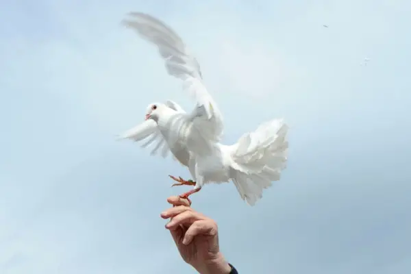 Elisabetta Piqué: “Los argentinos tienen que estar orgullosos del papa Francisco”