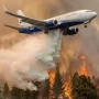 Emergencia en La Patagonia: ¿los incendios son intencionales?
