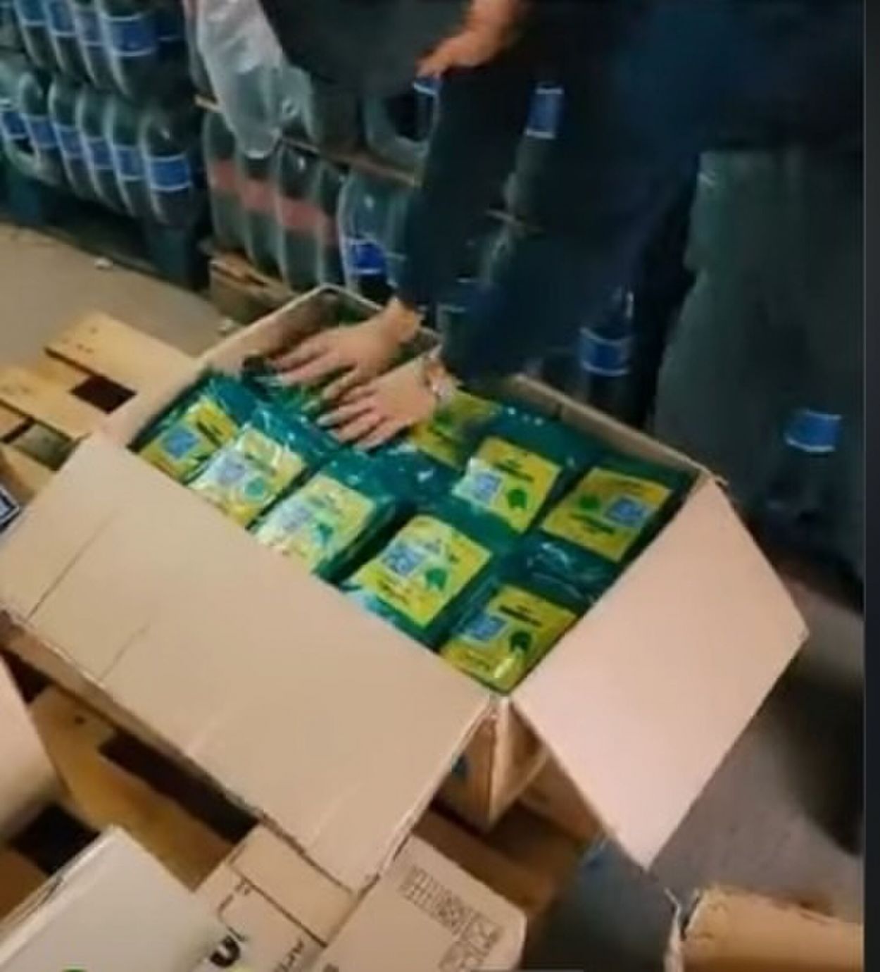 ¿Cómo son los engranajes del millonario comercio de hojas de coca?