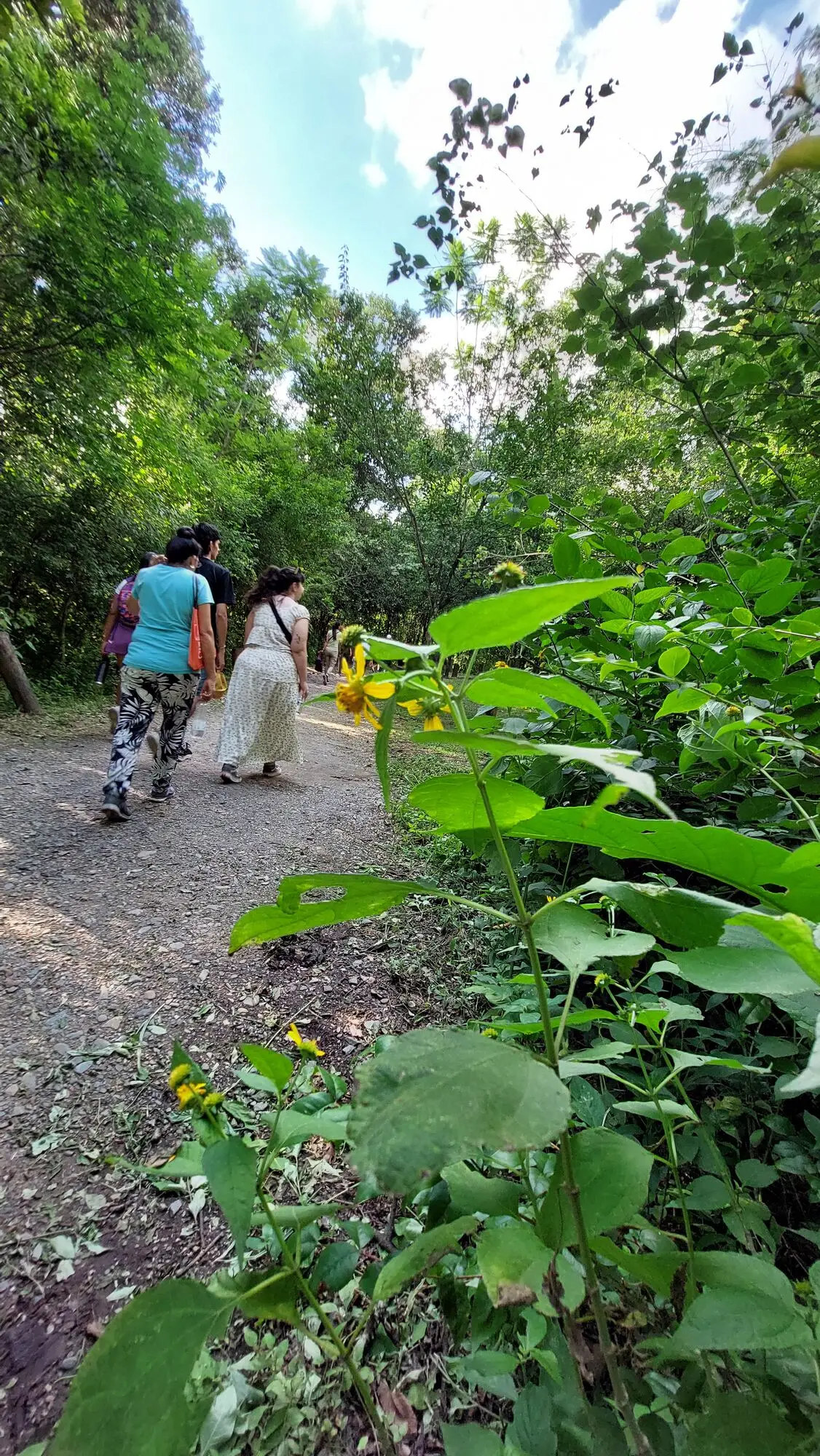 LUZ DE DÍA. Se puede visitar el jardín de forma gratuita de 9 a 19.