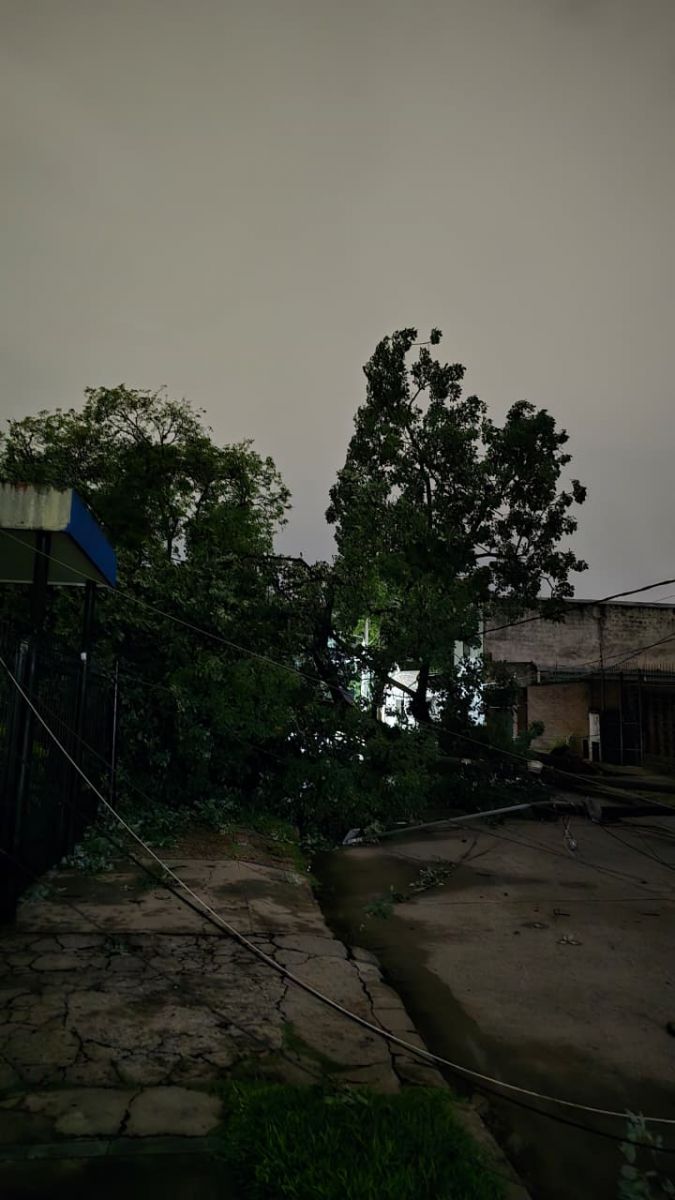 La tormenta provocó caída de árboles y complicaciones en algunas zonas de Tucumán