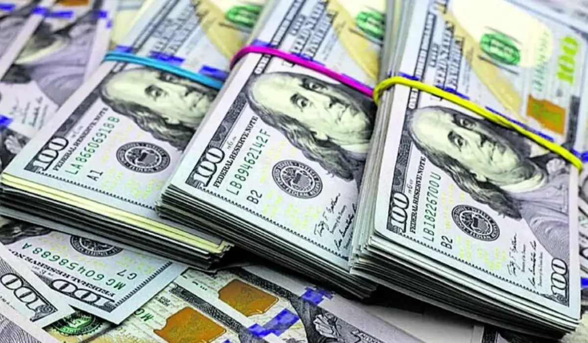 DÓLAR. La divisa consolidó su caída este miércoles 14 de enero.