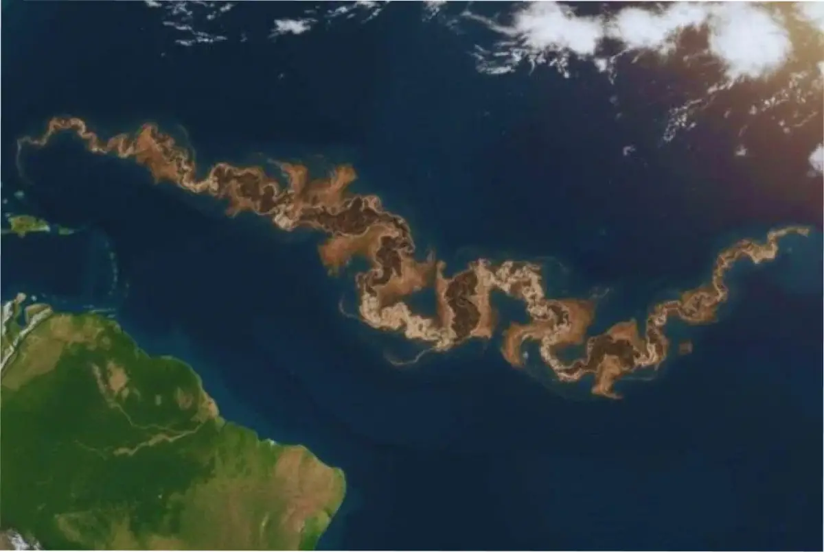 El Gran Cinturón de Sargazo es una de las amenzas ambientales instaladas en el océano Atlántico.