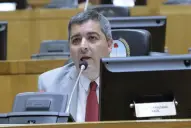 Es constitucional: Ferrazzano respaldó el DNU que alivia a contratistas