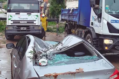 Temporal en Tucumán: un auto aplastado, 48 árboles caídos y calles anegadas