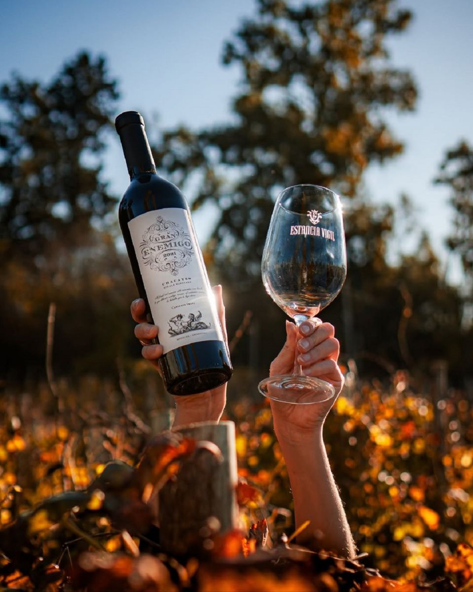 EL ENEMIGO. Uno de los vinos más reconocidos a nivel internacional. 