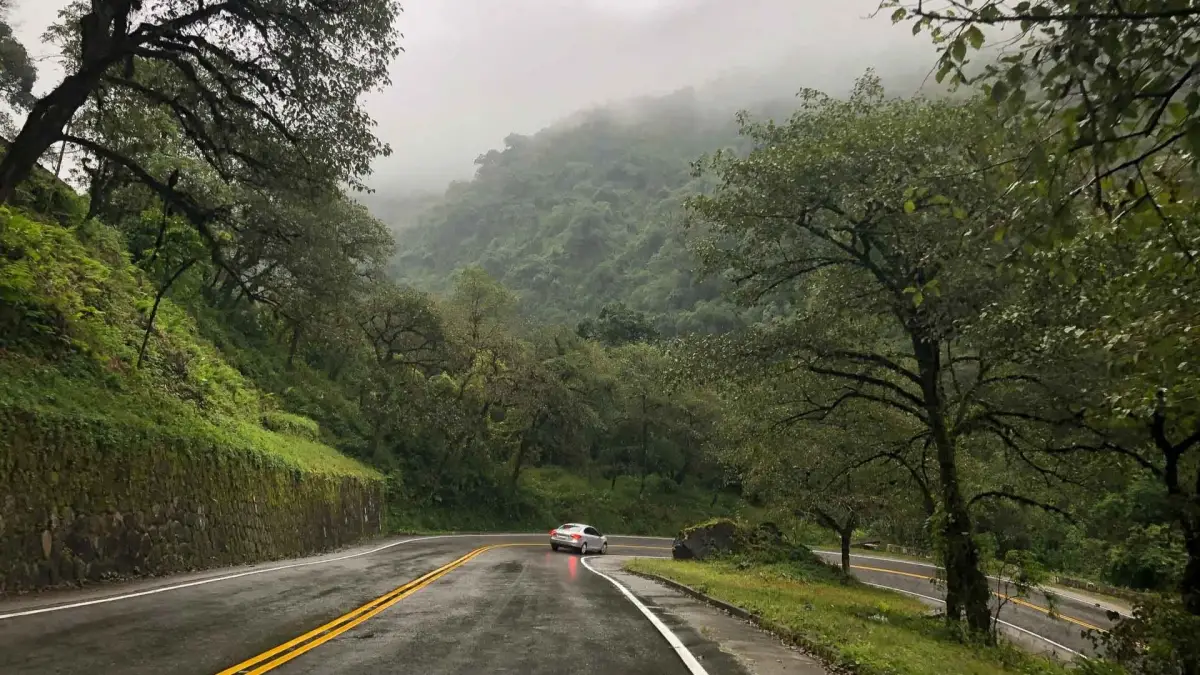 ¿Subís a Tafí del Valle? La ruta 307 está habilitada, pero recomiendan circular con precaución