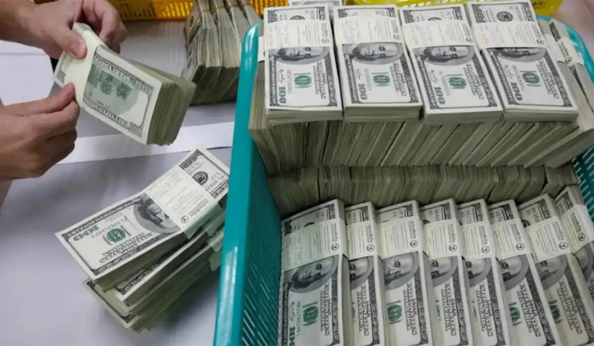 DÓLAR. En el segmento informal, la moneda estadounidense cayó $15. Foto tomada de infobae.com.ar.