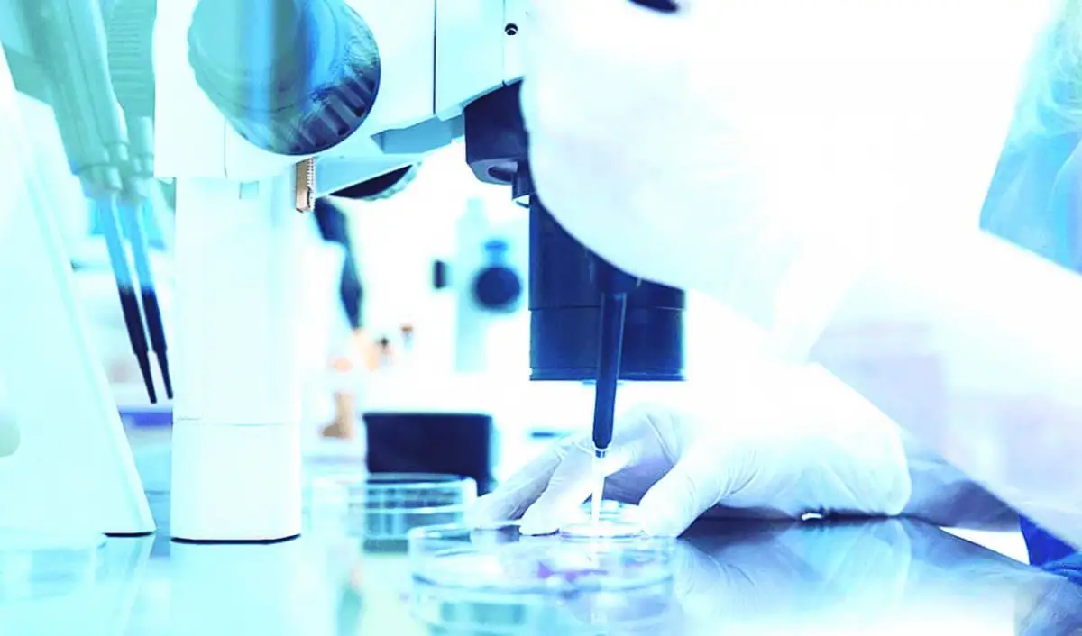 CONOCER. La importancia de los estudios de fertilidad como herramienta para tomar decisiones a tiempo.