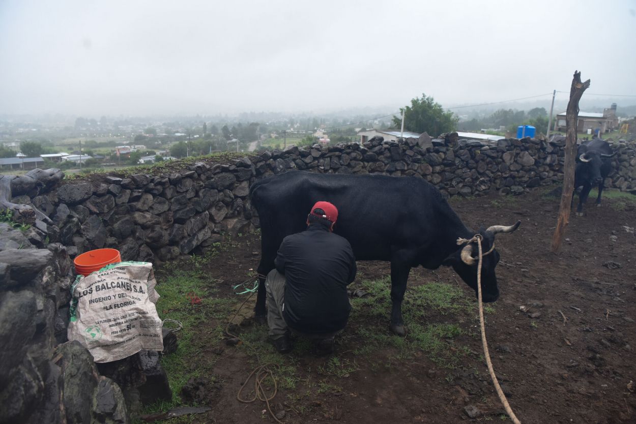 AL AIRE LIBRE. Los corrales sirven para hacer el trabajo tradicional.