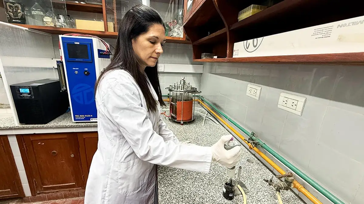 Investigadores del CONICET trabajan junto a la empresa Ledesma para optimizar la producción de compuestos naturales con potencial industrial