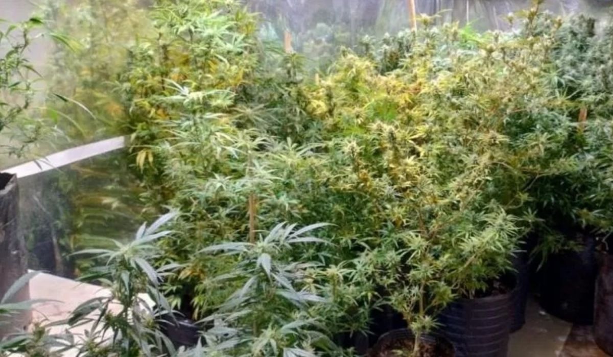 ¿Quién es “El Militar” y por qué asesinaron a Érika Antonella Álvarez?