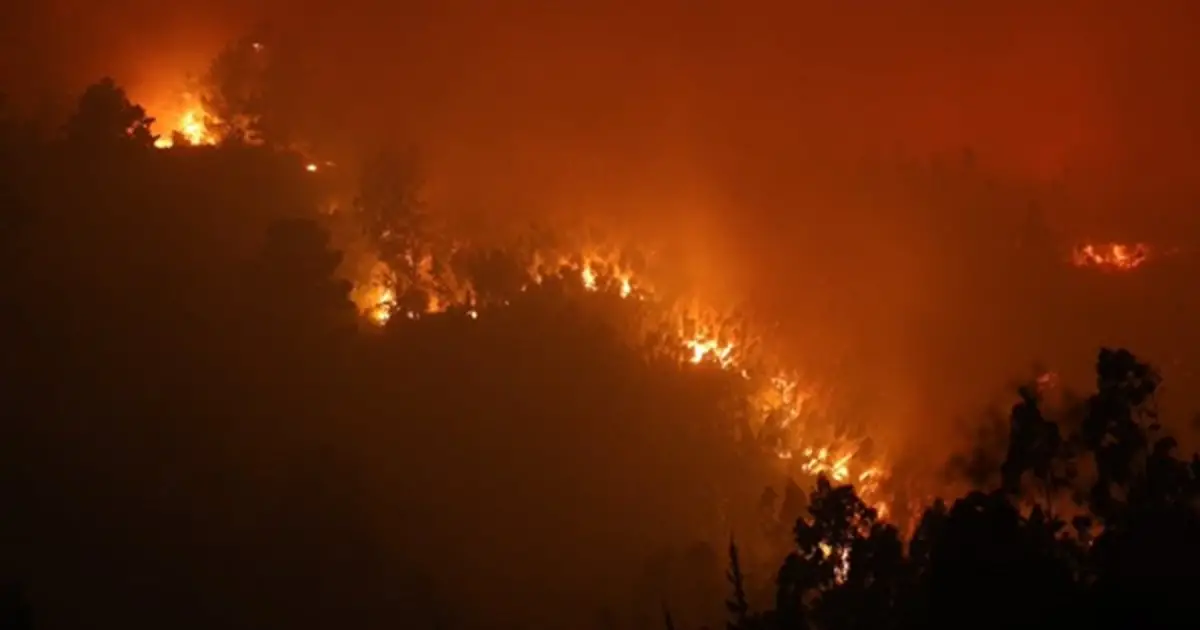 Incendios en Chile. FOTO X @latercera