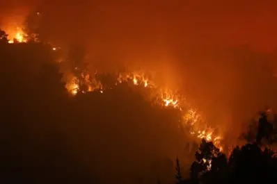 Hay tres detenidos por los incendios forestales en Chile