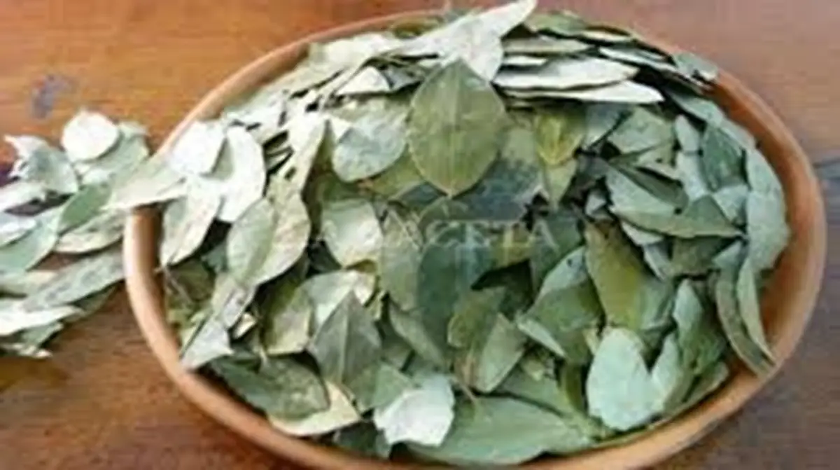 Desde Bolivia hasta un quiosco el valor del kilo se encarece más del 600%