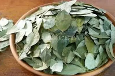 Desde Bolivia hasta un quiosco el valor del kilo se encarece más del 600%