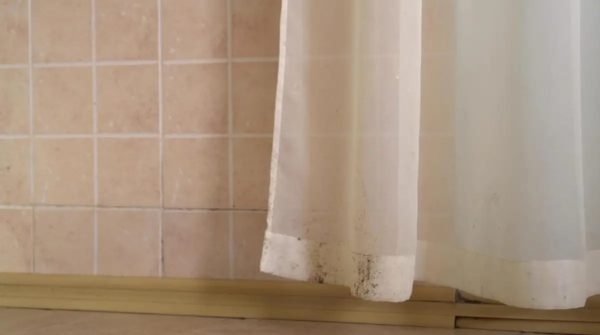 Con este sencillo truco podés dejar impecables tus cortinas de baño.