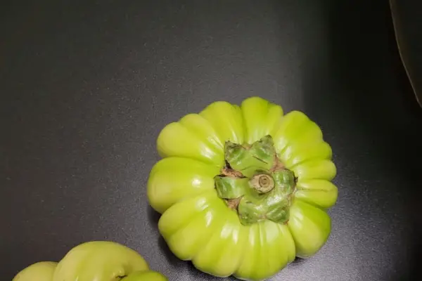 Las berenjenas tucumanas llegan a Francia en una segunda exportación