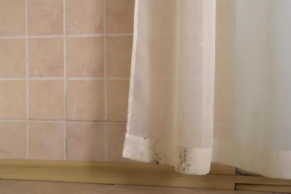 El truco casero para quitar los hongos de las cortinas de baño en minutos