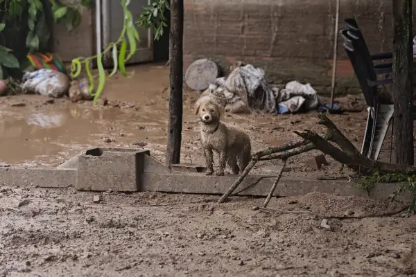 Cuando el río entra a la casa: el otro lado de la crecida que golpeó a García Fernández