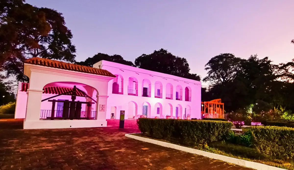 Rompé la rutina: acrobacia, animé y murga uruguaya para aprender gratis hoy