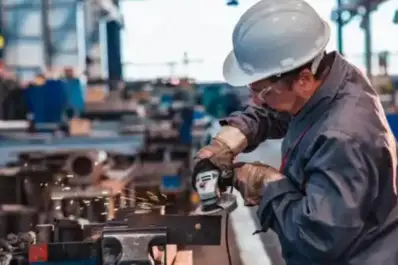 La actividad económica cayó 0,3% en noviembre: ¿cómo se comportaron los distintos sectores?