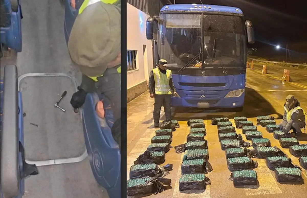 Gendarmes detectaron anomalías en el piso de un micro y hallaron 200 kilos de hojas de coca en estado natural