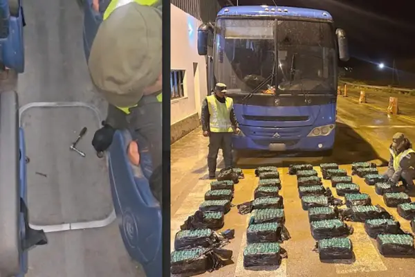 Gendarmes detectaron anomalías en el piso de un micro y hallaron 200 kilos de hojas de coca en estado natural