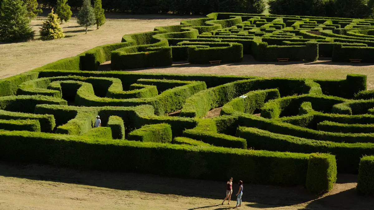 El laberinto más grande de Sudamérica está en la Patagonia