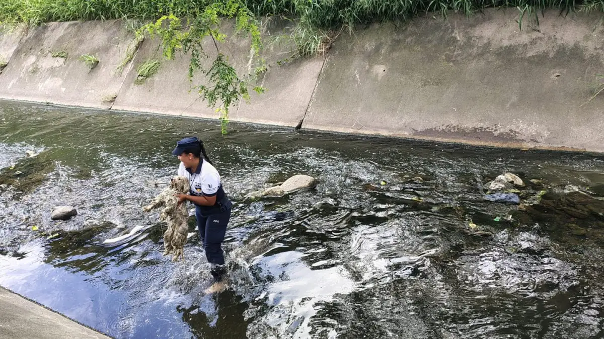 PRENSA MUNICIPALIDAD DE SAN MIGUEL DE TUCUMÁN