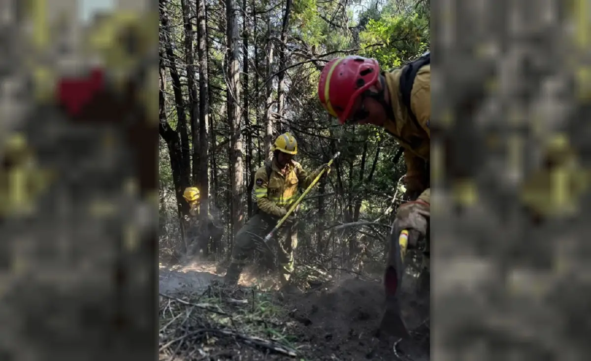 Incendios forestales en la zona de Villa Lago Rivadavia, Chubut. Foto tomada de eqsnotas.com